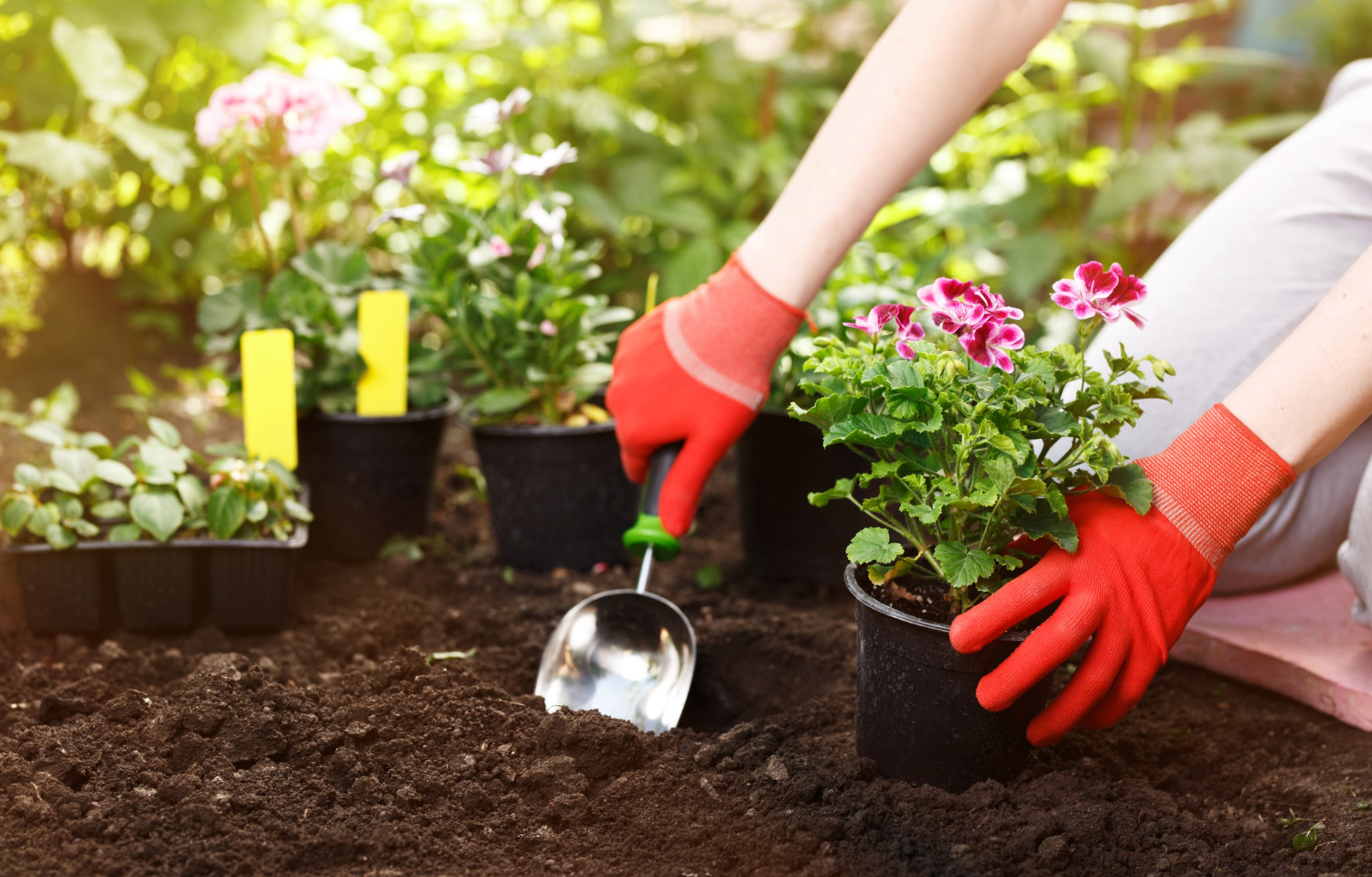 Gardening