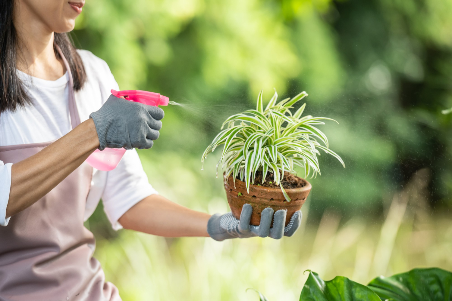 Pretty young woman watering tree in the garden at summer