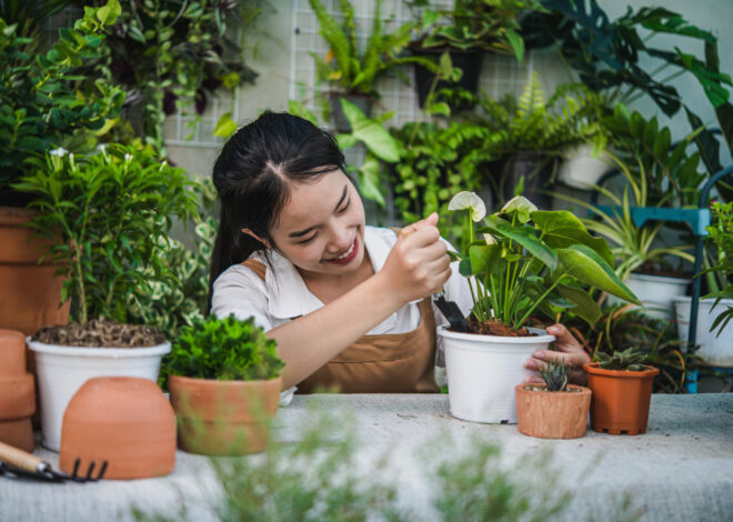 สร้างบ้านให้เป็น Oasis ส่วนตัว ด้วยการจัดสวนในบ้านแบบ Urban Gardening