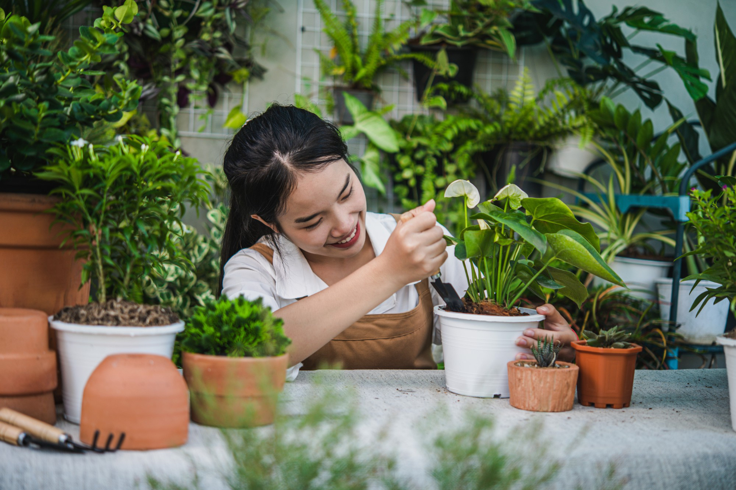 สร้างบ้านให้เป็น Oasis ส่วนตัว ด้วยการจัดสวนในบ้านแบบ Urban Gardening
